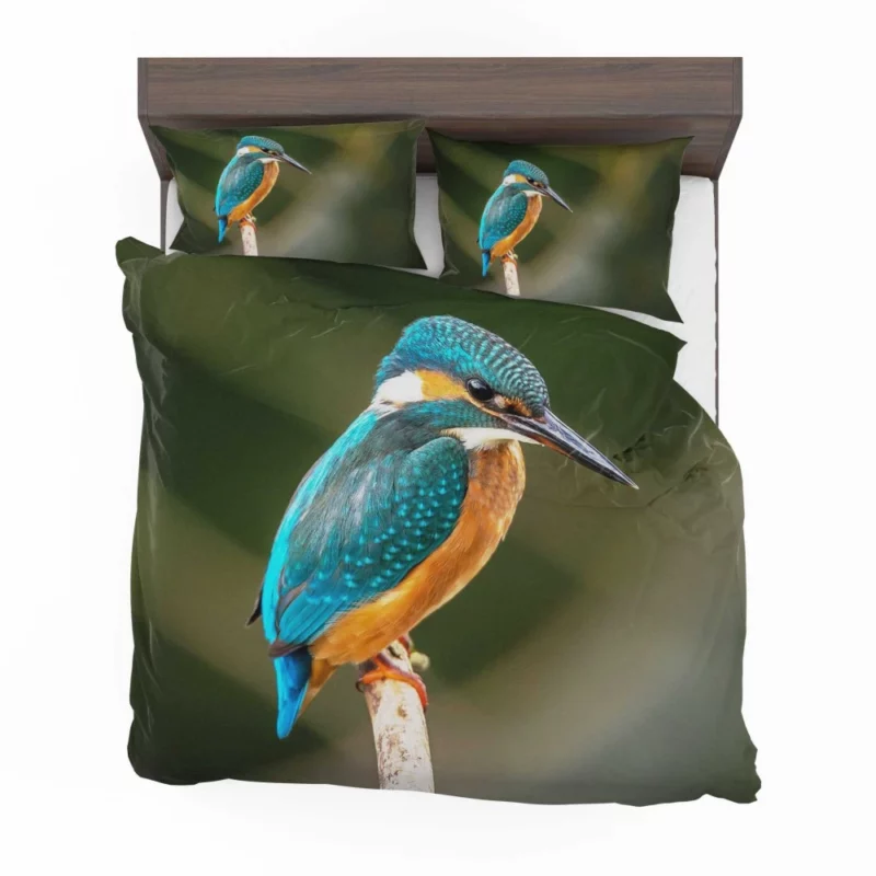 Kingfisher on Branch Waterside Beauty Bedding Set 1