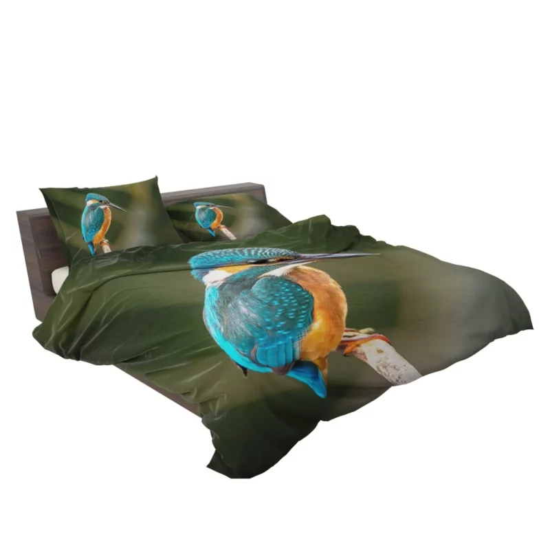 Kingfisher on Branch Waterside Beauty Bedding Set 2