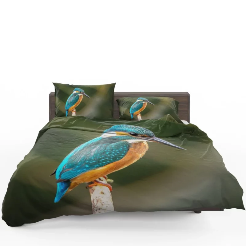 Kingfisher on Branch Waterside Beauty Bedding Set