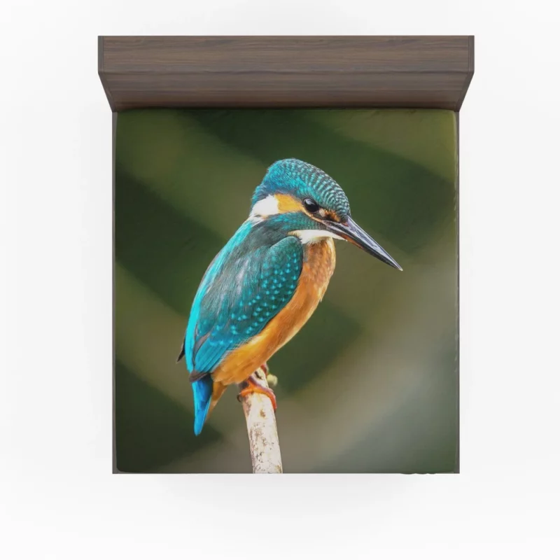 Kingfisher on Branch Waterside Beauty Fitted Sheet 1