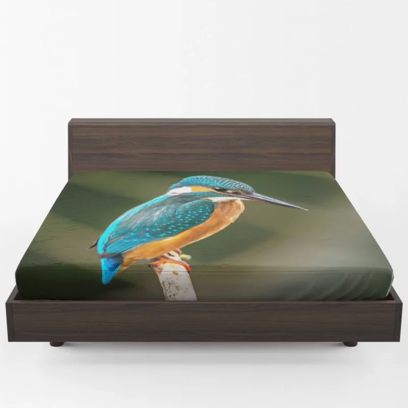 Kingfisher on Branch Waterside Beauty Fitted Sheet