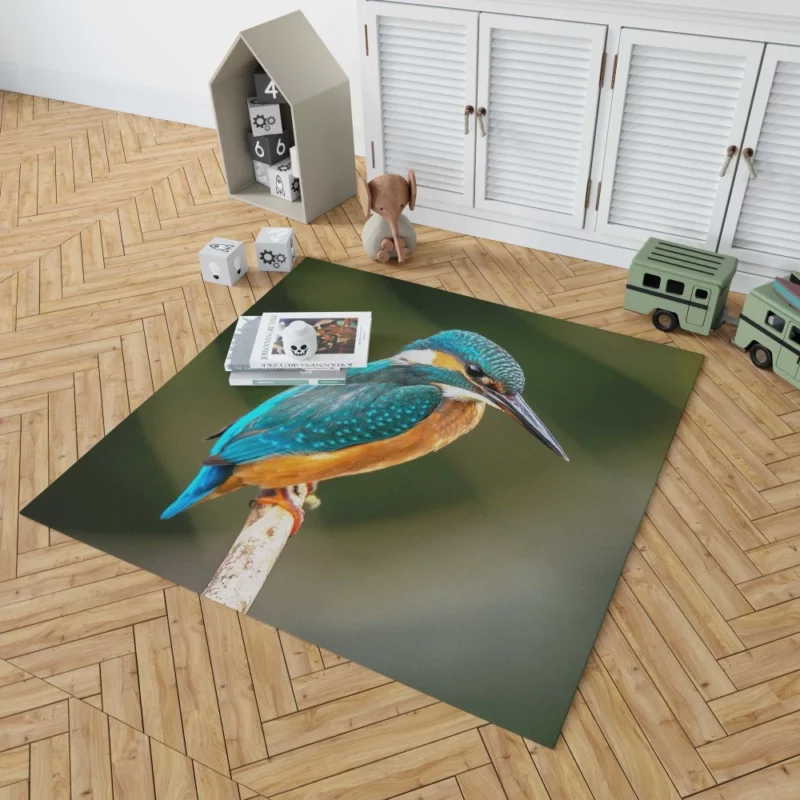 Kingfisher on Branch Waterside Beauty Rug 1