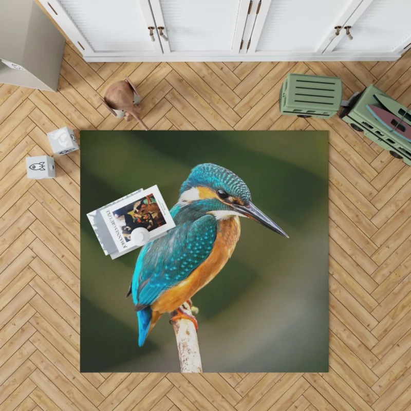 Kingfisher on Branch Waterside Beauty Rug