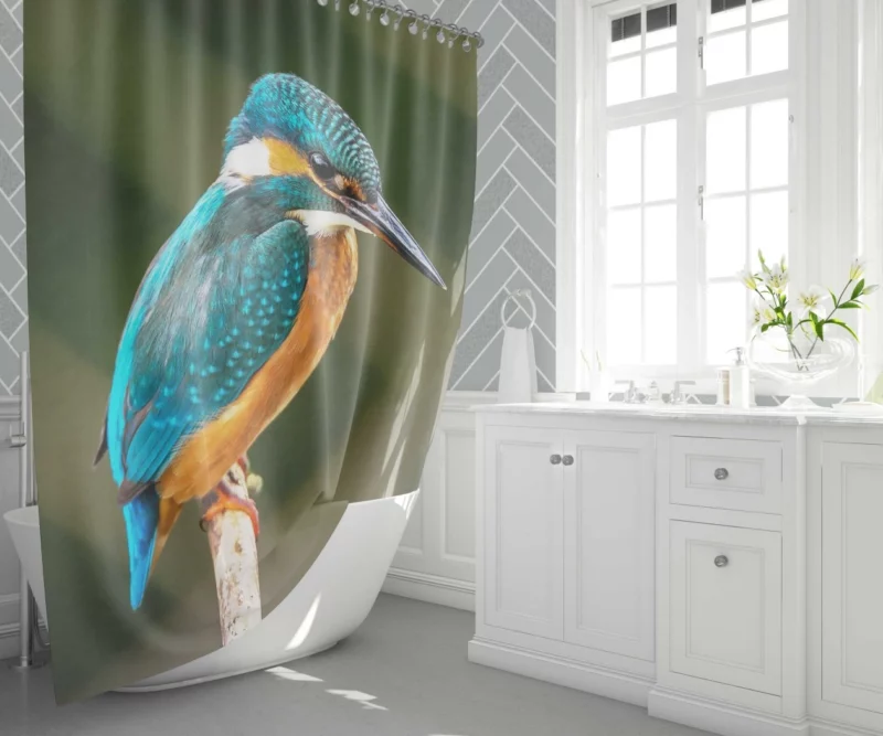 Kingfisher on Branch Waterside Beauty Shower Curtain 1