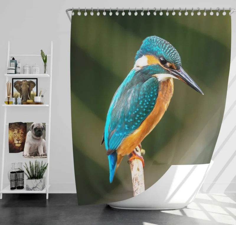 Kingfisher on Branch Waterside Beauty Shower Curtain