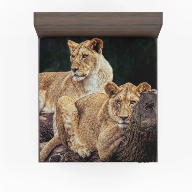 Kingly Lion Majestic Aura Fitted Sheet 1