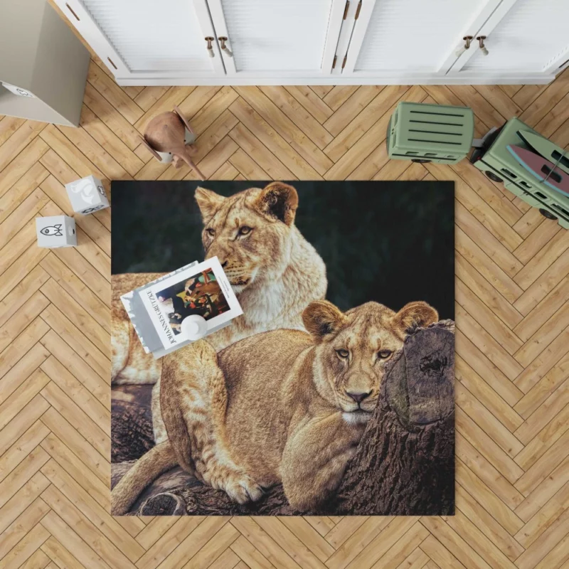 Kingly Lion Majestic Aura Rug