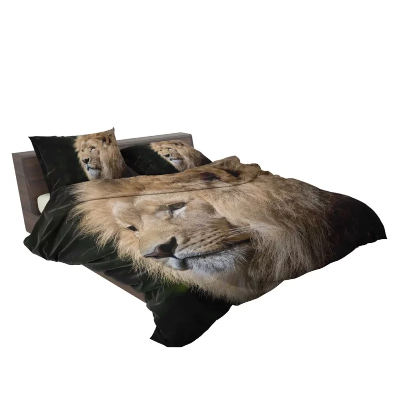 Kingly Majesty Lion Stance Bedding Set 2