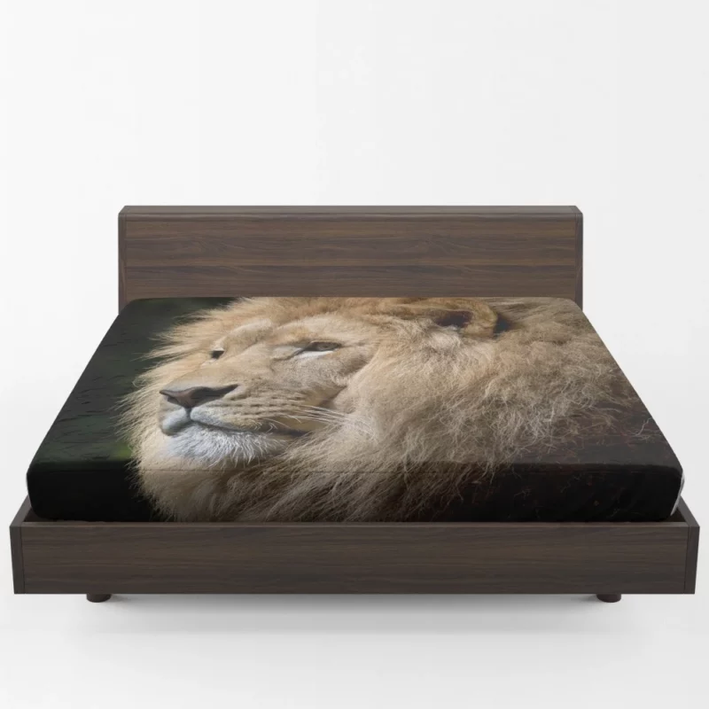 Kingly Majesty Lion Stance Fitted Sheet