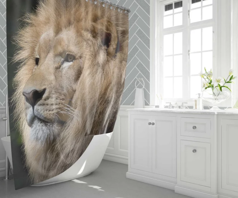 Kingly Majesty Lion Stance Shower Curtain 1