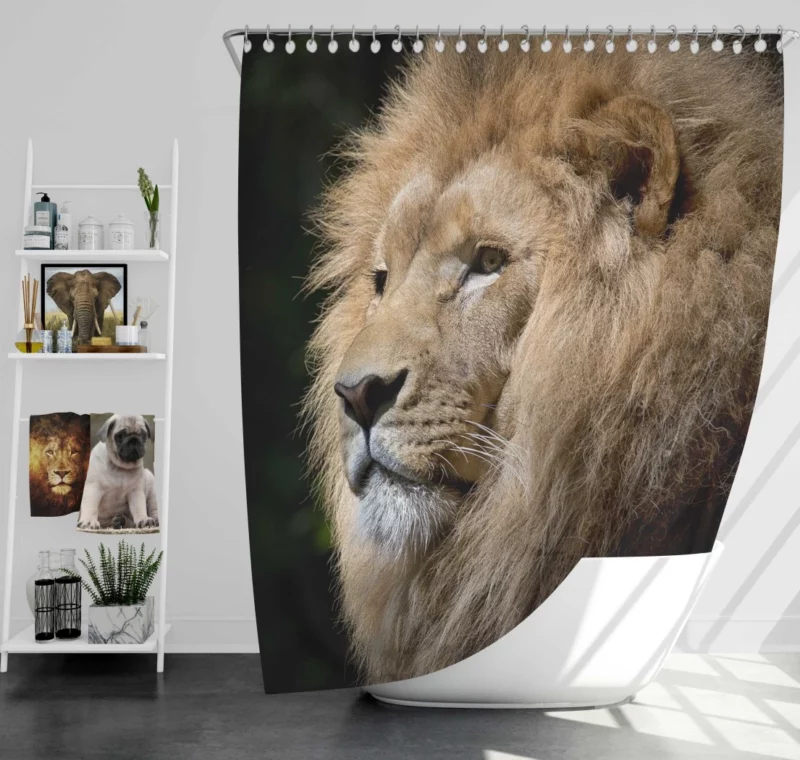 Kingly Majesty Lion Stance Shower Curtain