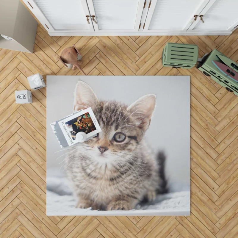 Kitten Enigmatic Stare Whimsical Beauty Rug