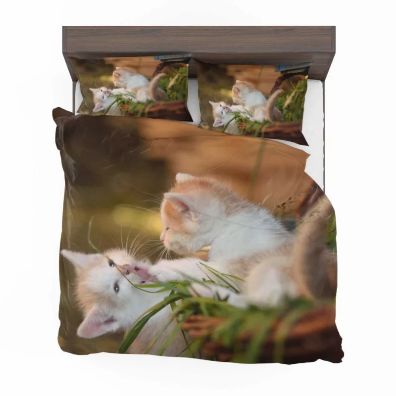 Kitten Innocent Gaze Feline Curiosity Bedding Set 1