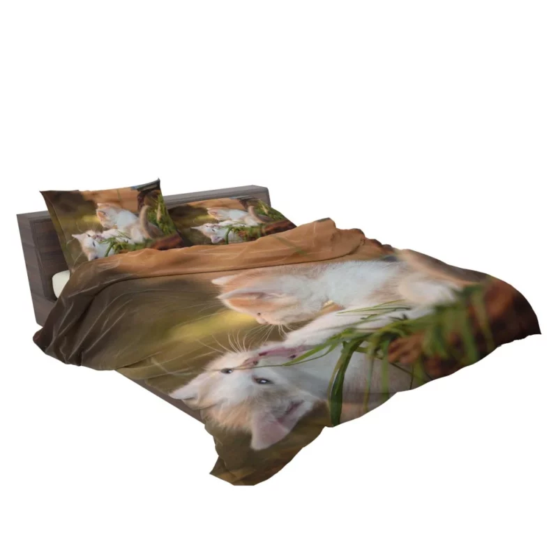 Kitten Innocent Gaze Feline Curiosity Bedding Set 2