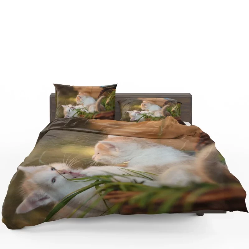 Kitten Innocent Gaze Feline Curiosity Bedding Set