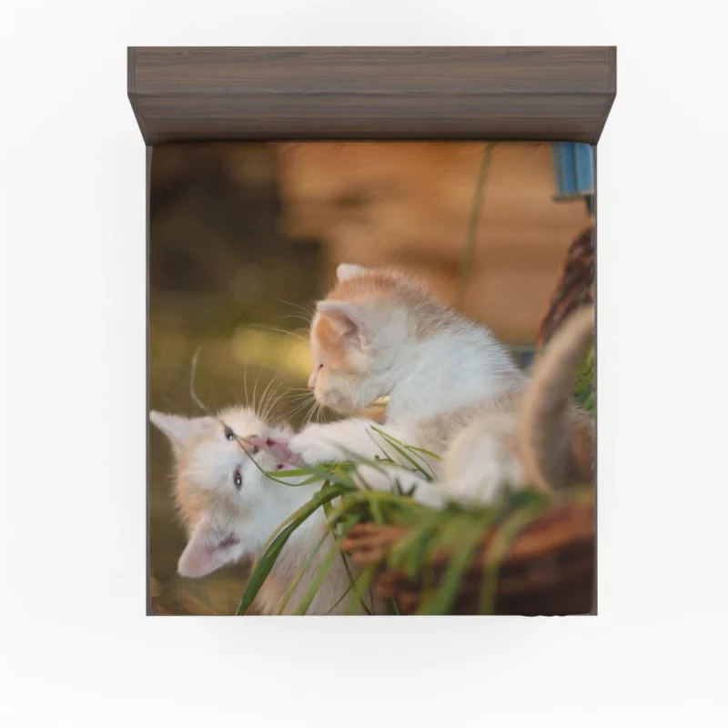 Kitten Innocent Gaze Feline Curiosity Fitted Sheet 1