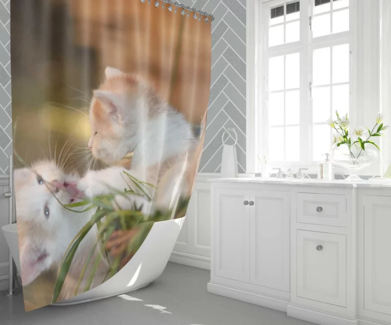 Kitten Innocent Gaze Feline Curiosity Shower Curtain 1