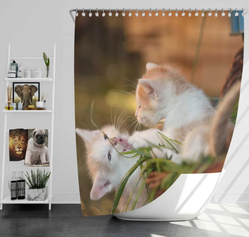 Kitten Innocent Gaze Feline Curiosity Shower Curtain