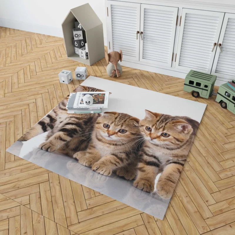 Kitten Innocent Gaze Furry Curiosity Rug 1