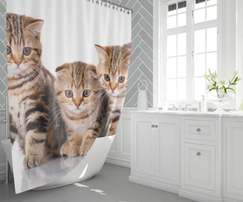 Kitten Innocent Gaze Furry Curiosity Shower Curtain 1