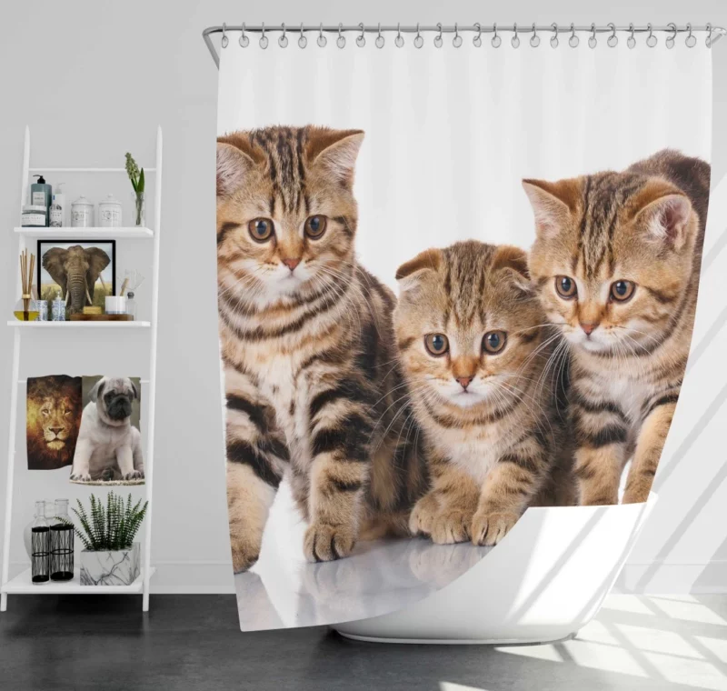 Kitten Innocent Gaze Furry Curiosity Shower Curtain