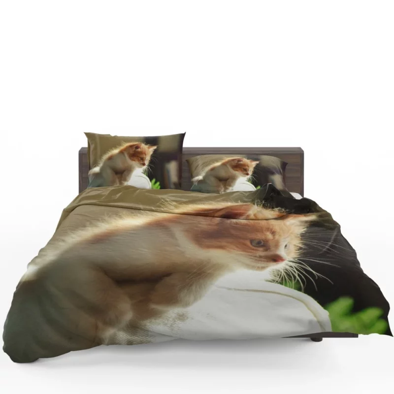 Kitten Innocent Stare Captivating Curiosity Bedding Set