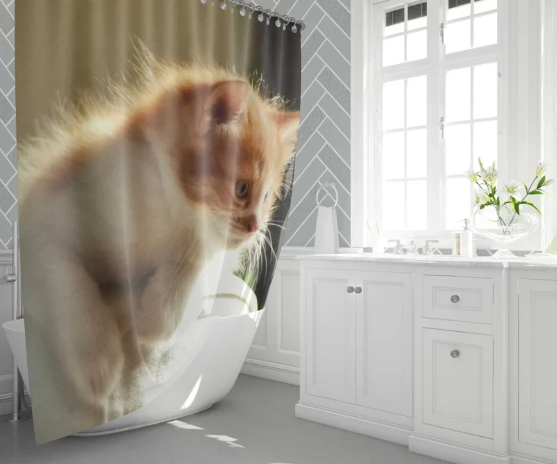 Kitten Innocent Stare Captivating Curiosity Shower Curtain 1