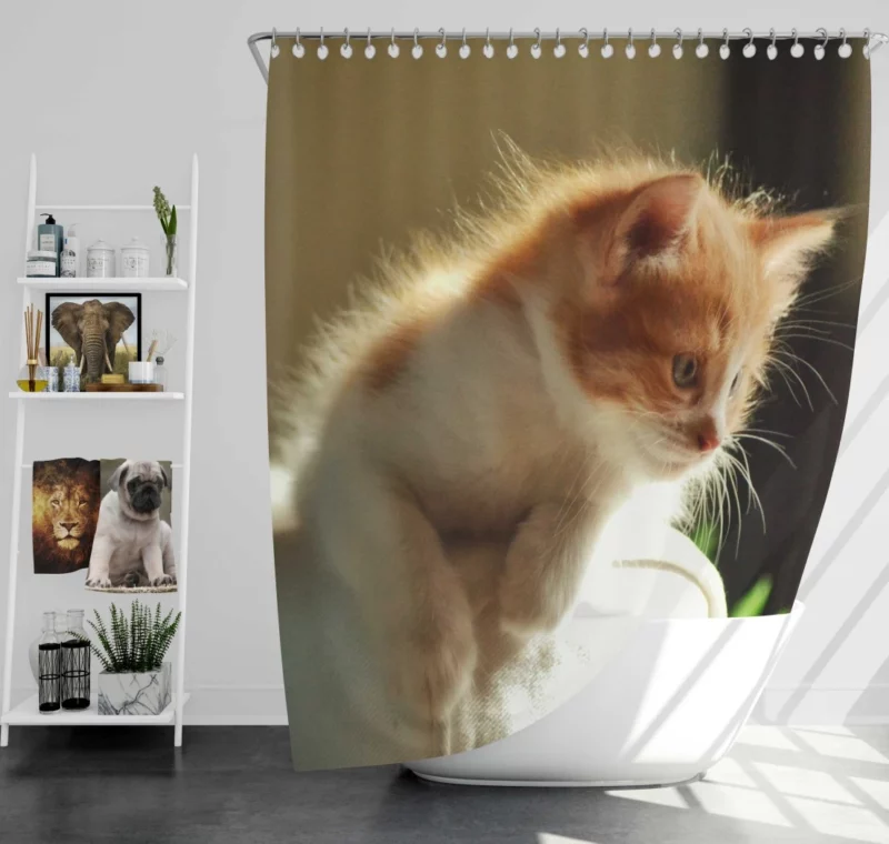 Kitten Innocent Stare Captivating Curiosity Shower Curtain