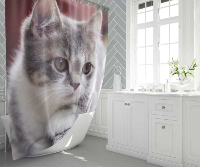 Kitten Mysterious Depth Baby Innocence Shower Curtain 1