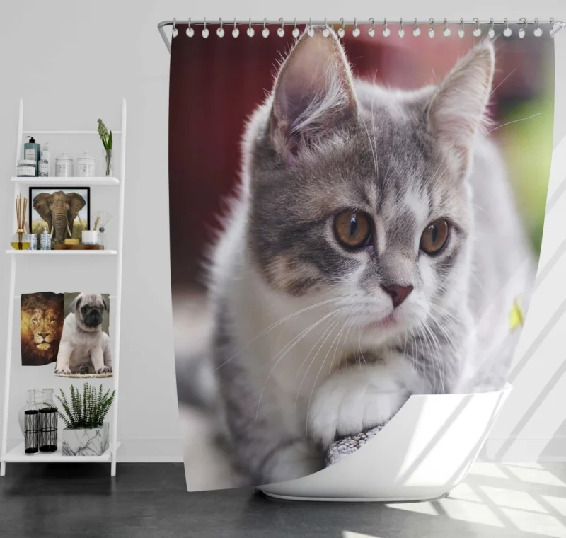 Kitten Mysterious Depth Baby Innocence Shower Curtain