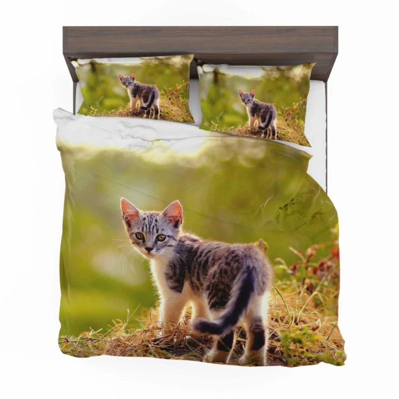 Kitten Play in the Grass Bedding Set 1