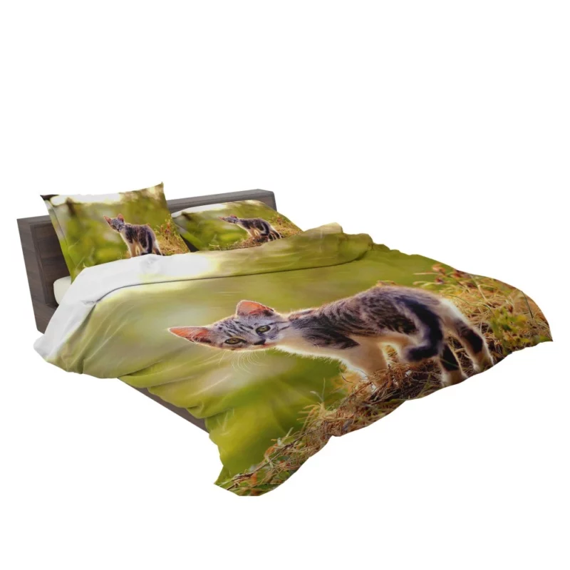 Kitten Play in the Grass Bedding Set 2