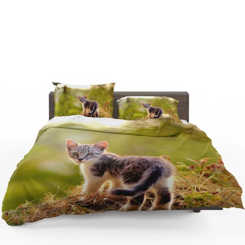 Kitten Play in the Grass Bedding Set