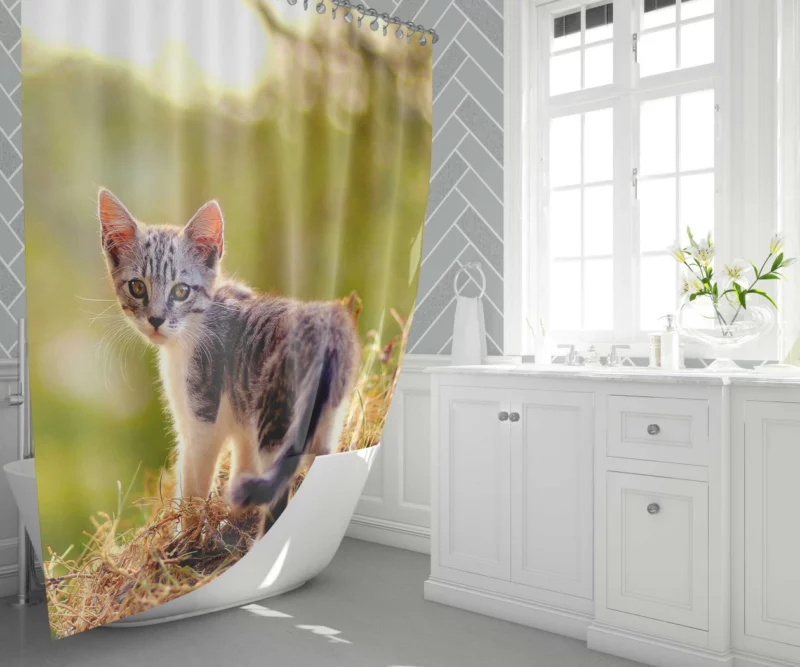 Kitten Play in the Grass Shower Curtain 1