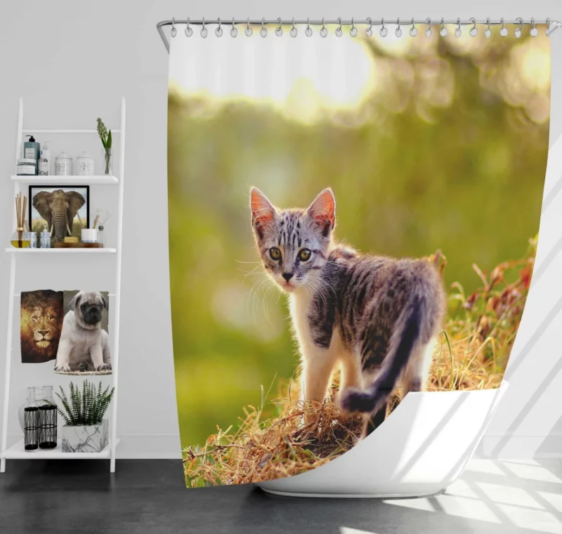 Kitten Play in the Grass Shower Curtain