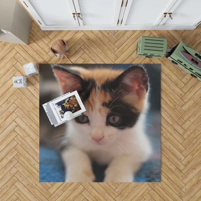 Kitten Playful Antics Innocent Joy Rug