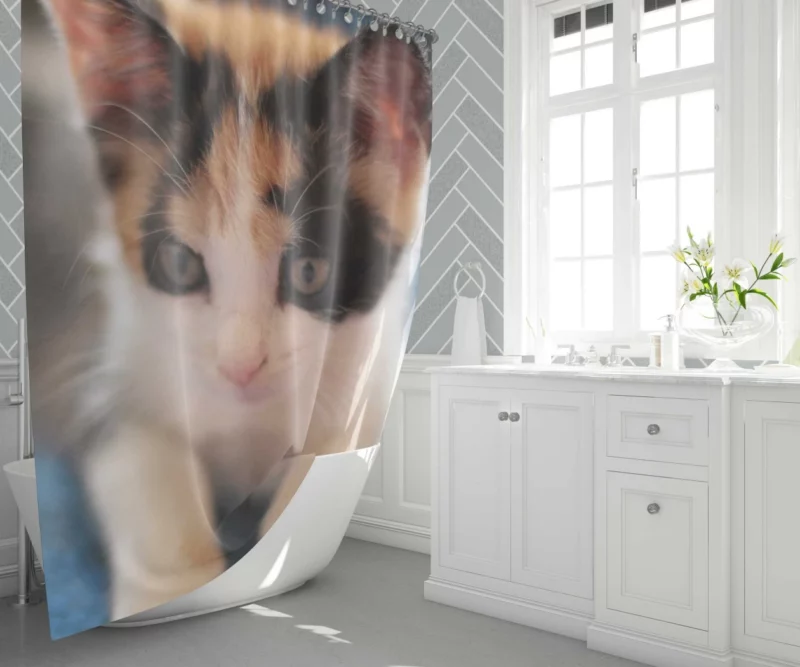 Kitten Playful Antics Innocent Joy Shower Curtain 1