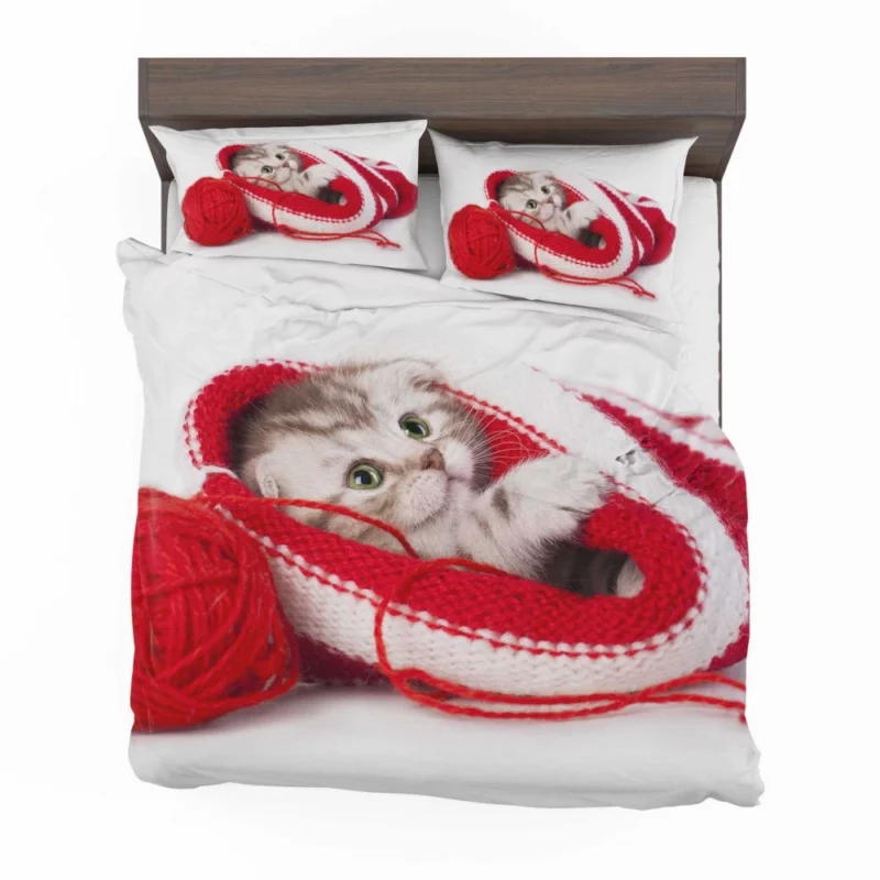 Kitten Playful Antics Whiskered Joy Bedding Set 1