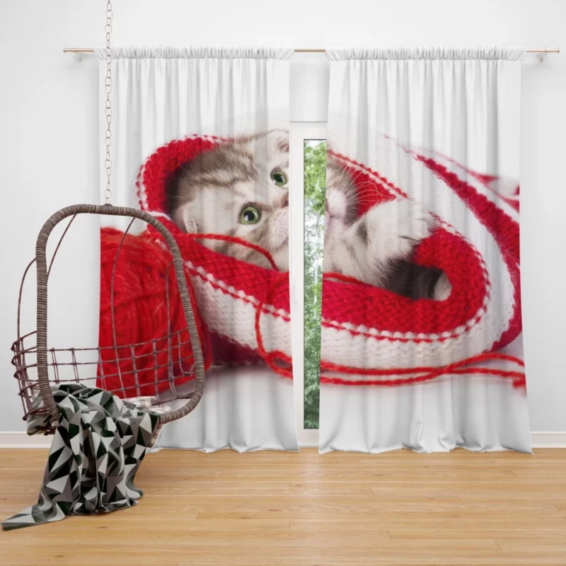 Kitten Playful Antics Whiskered Joy Curtain