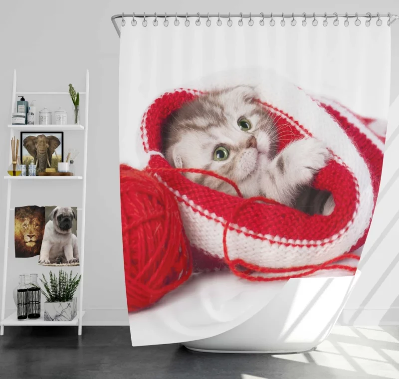 Kitten Playful Antics Whiskered Joy Shower Curtain