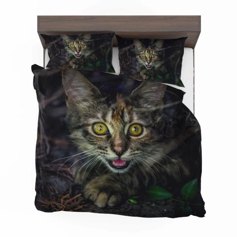 Kitten Playful Pause Whiskered Charm Bedding Set 1