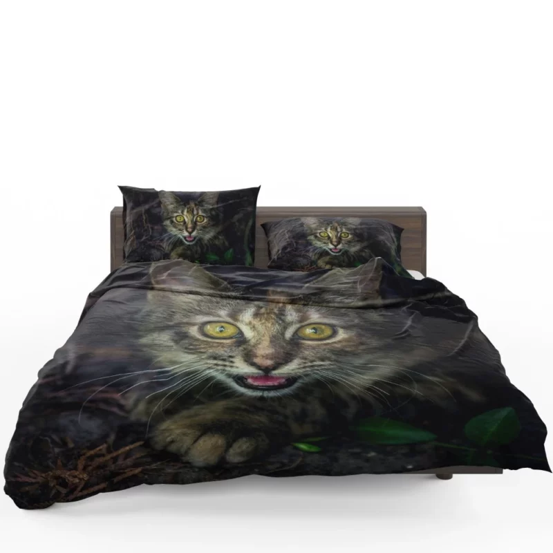 Kitten Playful Pause Whiskered Charm Bedding Set