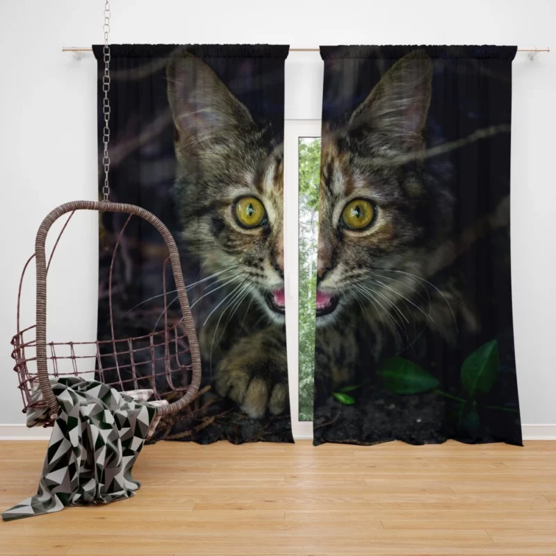 Kitten Playful Pause Whiskered Charm Curtain