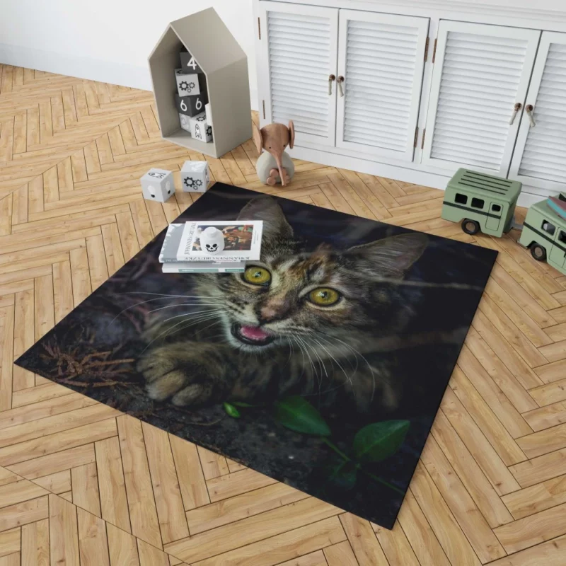 Kitten Playful Pause Whiskered Charm Rug 1