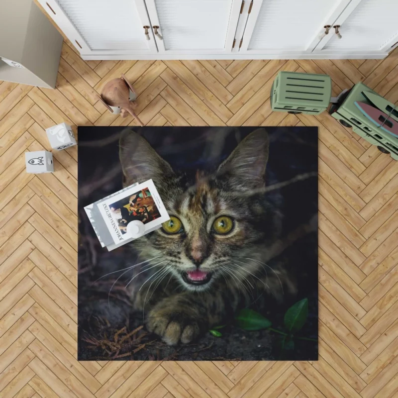 Kitten Playful Pause Whiskered Charm Rug