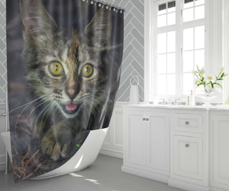 Kitten Playful Pause Whiskered Charm Shower Curtain 1