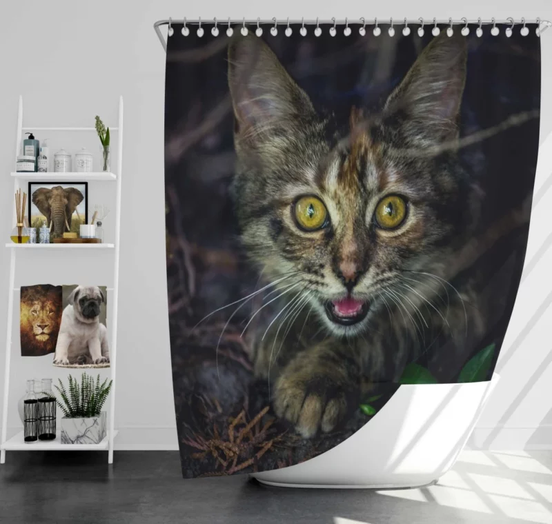 Kitten Playful Pause Whiskered Charm Shower Curtain