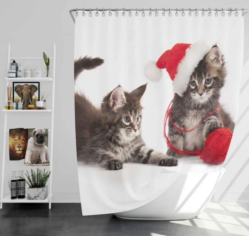 Kitten Playful Prance Joyful Antics Shower Curtain