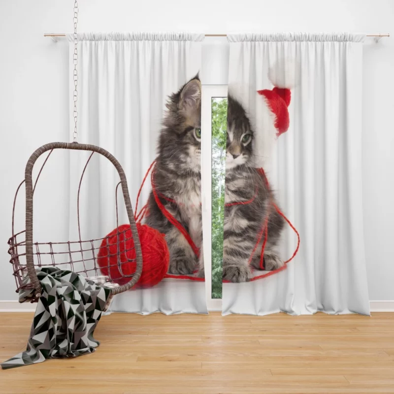 Kitten Santa Playtime Feline Festivities Curtain