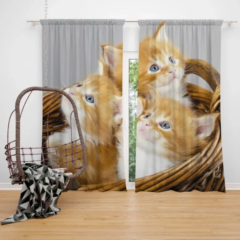 Kitten Trio Basket of Cuteness Curtain